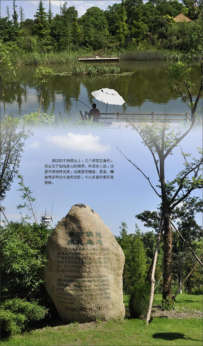 Ʒ;