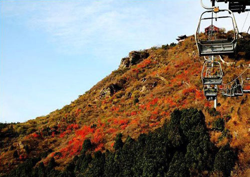 ��Ʒ������