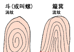 精品消费网