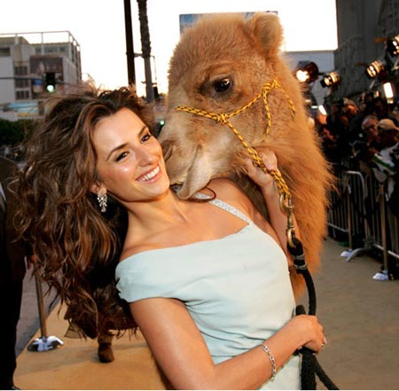 ��Ʒ������