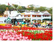 Everland Flower Carnival Festival 