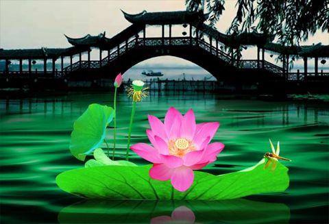 ��Ʒ������