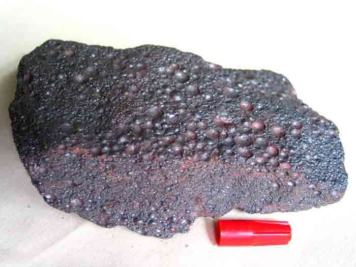 ��Ʒ������