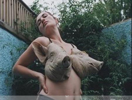 ��Ʒ������