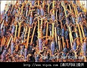 ��Ʒ������