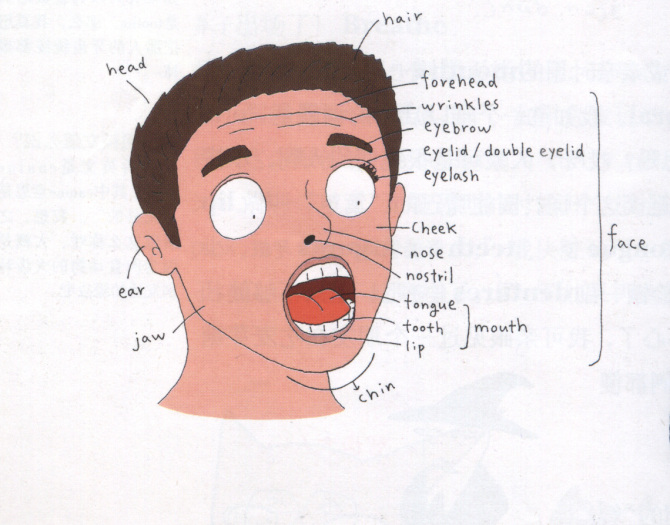 �ܺõ�teaching material - �� - Ұ�����