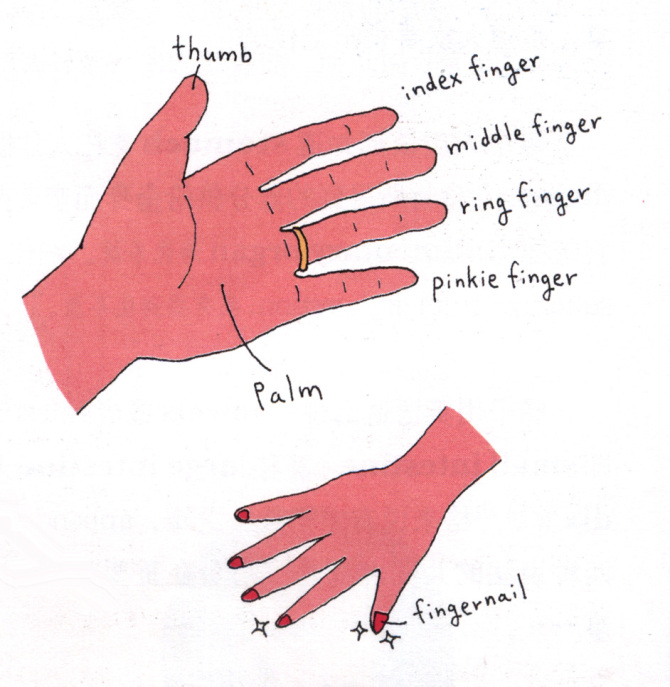 �ܺõ�teaching material - �� - Ұ�����