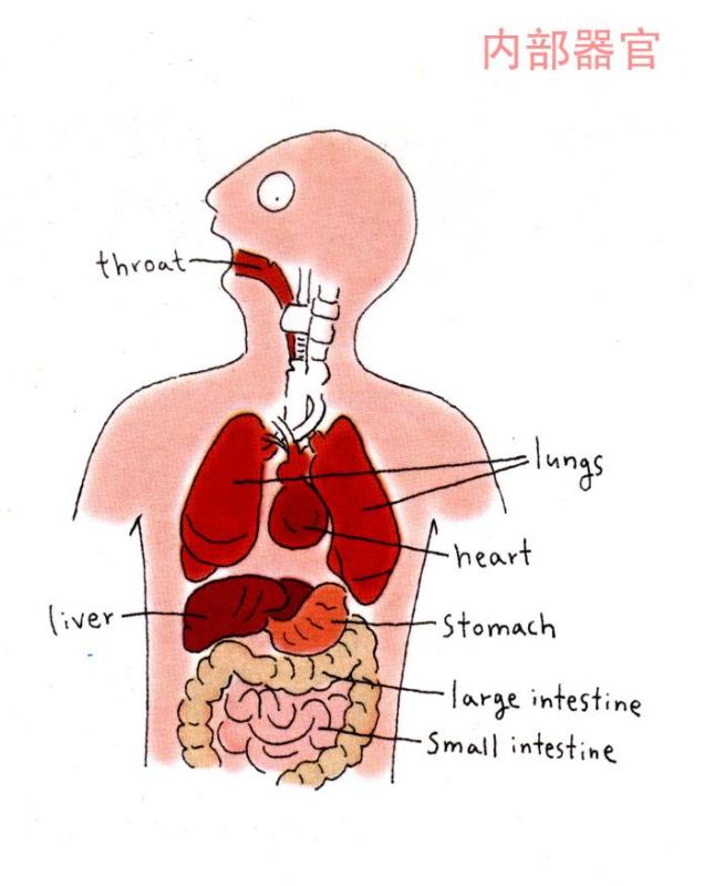 �ܺõ�teaching material - �� - Ұ�����