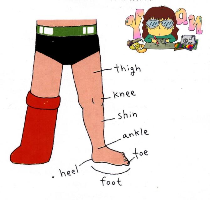 �ܺõ�teaching material - �� - Ұ�����