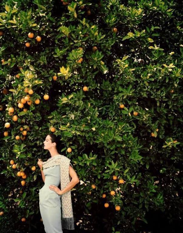 ��������ĲƸ� ��ʮ���ʱװ��Ӱ - �ʣɣͣͣ�  �̣� - ��