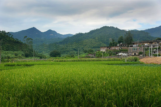 荏畲村 荏畲村