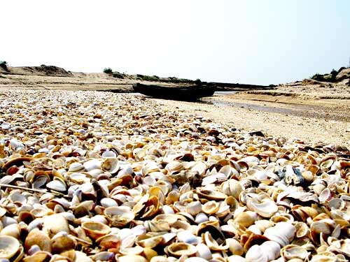 ��Ʒ������