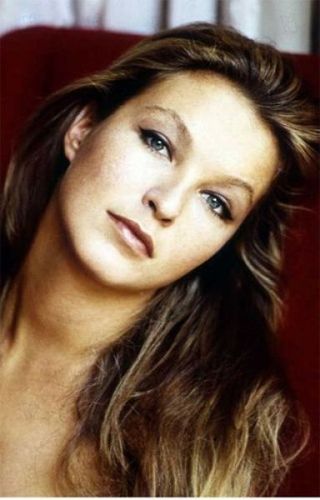 ��Ʒ������