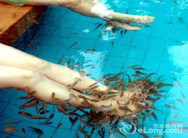 武义温泉 武义温泉