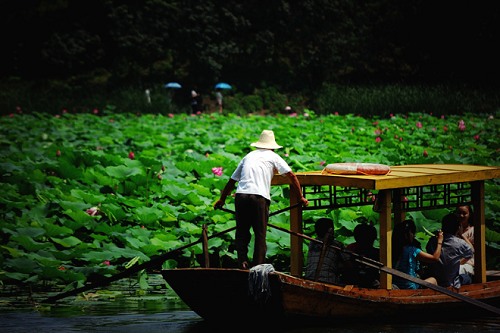 ��Ʒ������