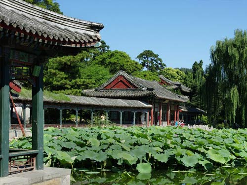 ��Ʒ������