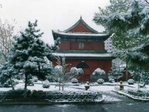 ��Ʒ������