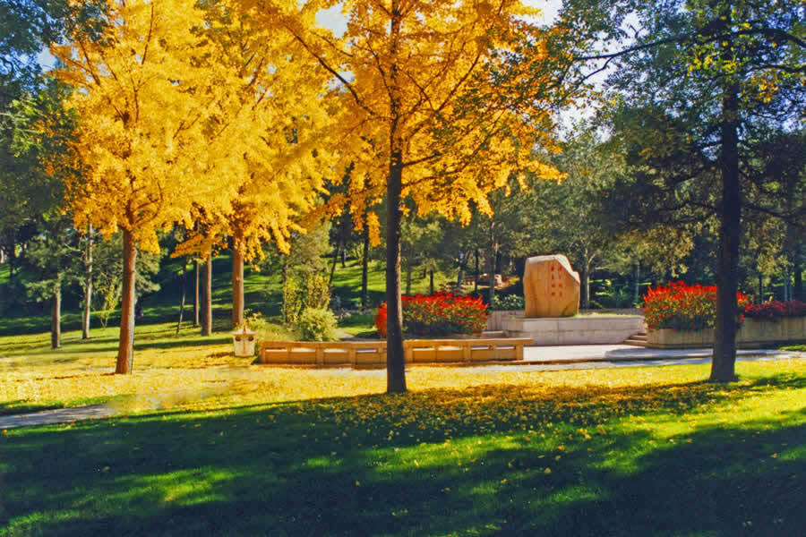 ��Ʒ������