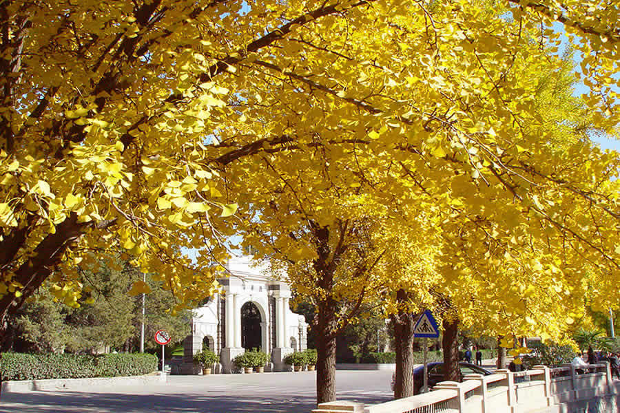 ��Ʒ������