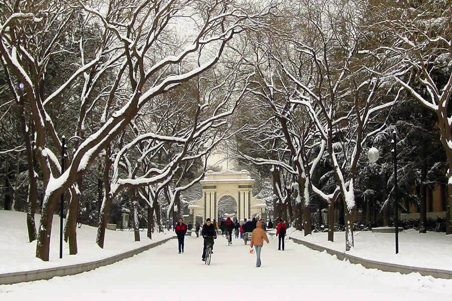 ��Ʒ������