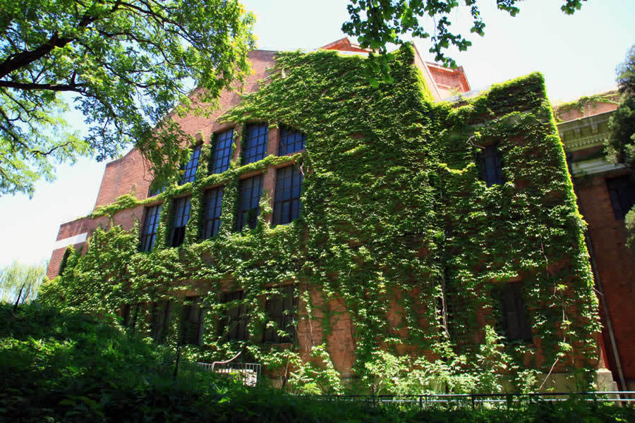 ��Ʒ������