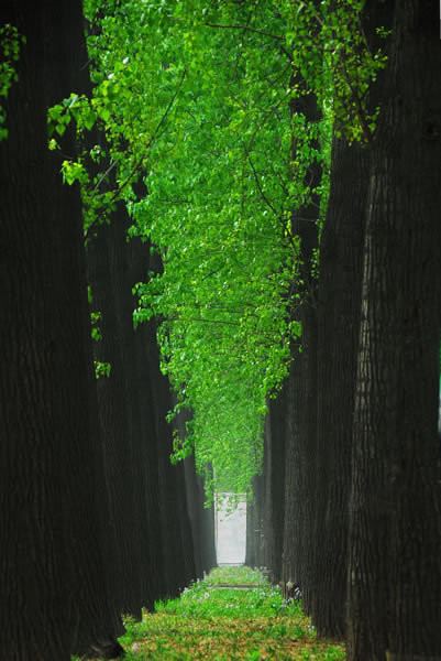 ��Ʒ������