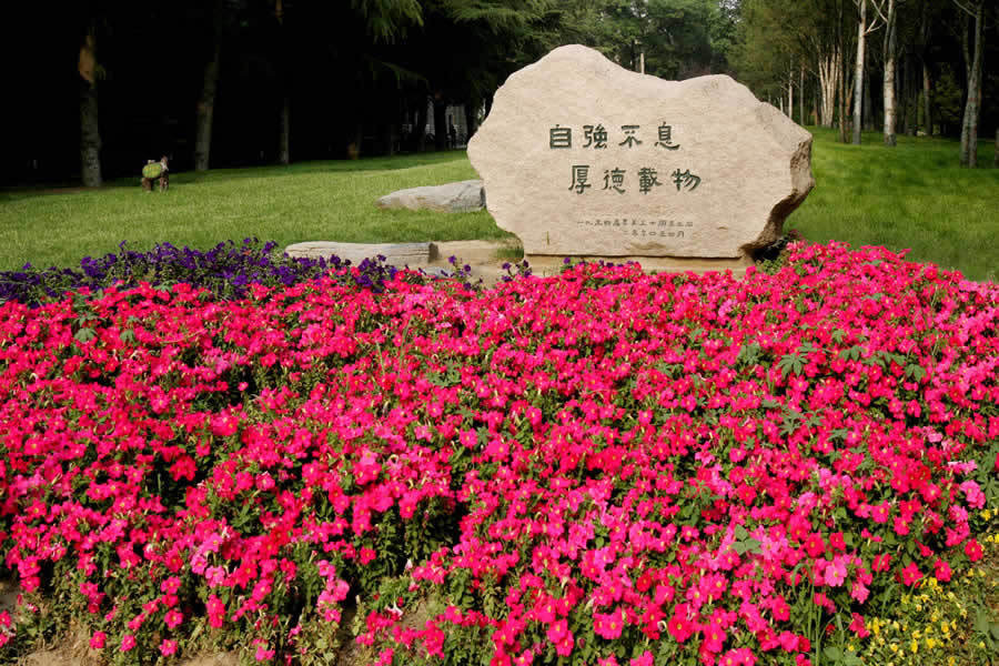 ��Ʒ������