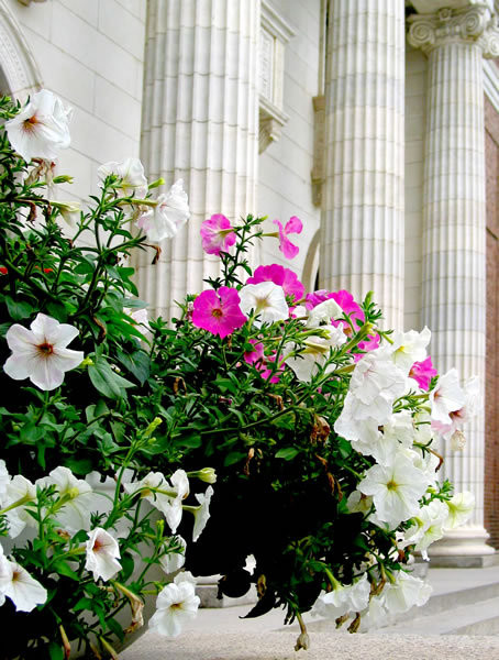 ��Ʒ������