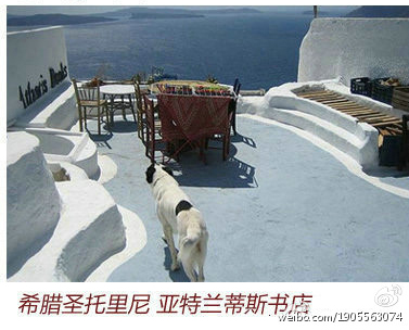 精品消费网