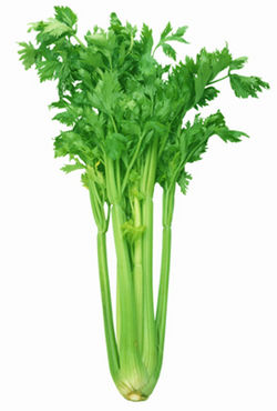 Ʒ