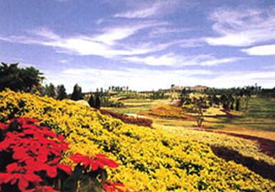 ��Ʒ������