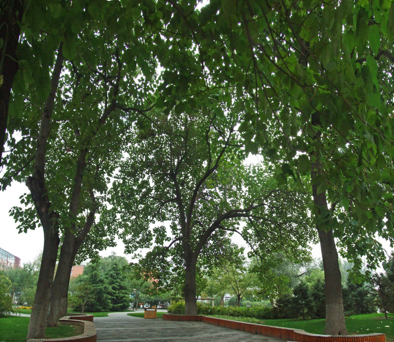 ��Ʒ������