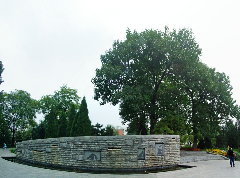 ��Ʒ������