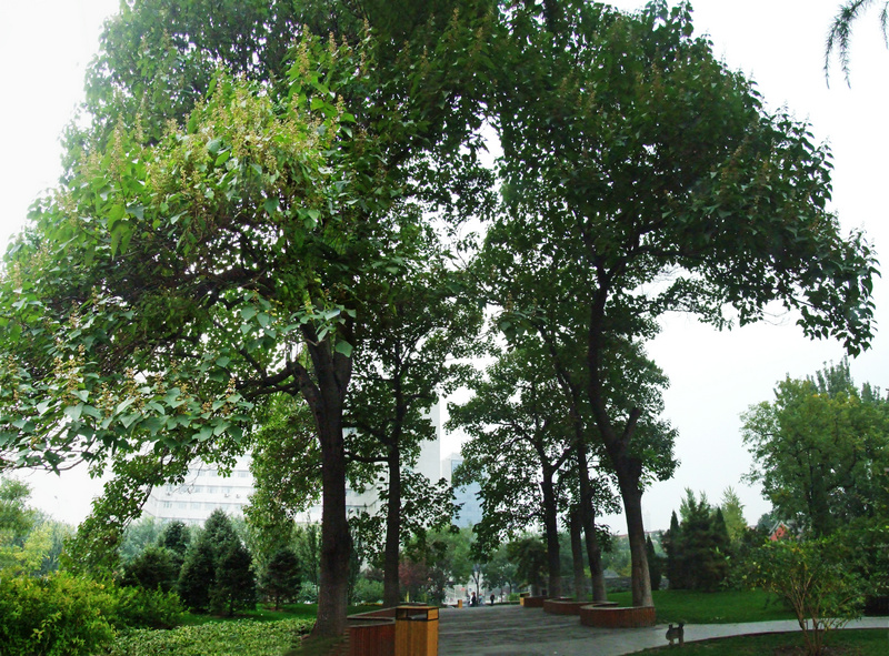 ��Ʒ������