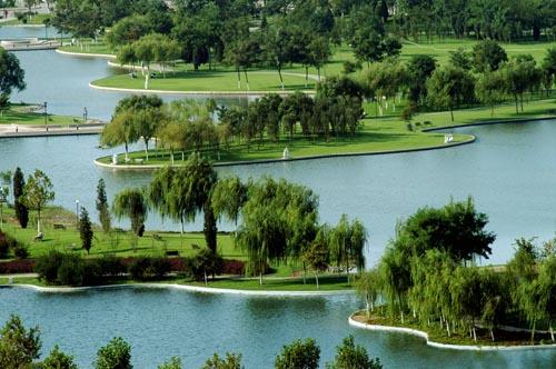 ����Ʒ������