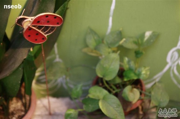 ��Ʒ������