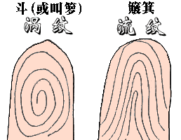 ��Ʒ������