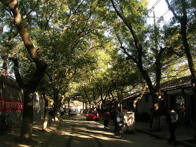 ��Ʒ������