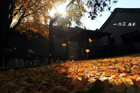 ��Ʒ������