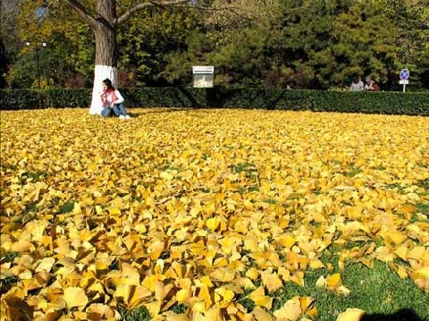 ��Ʒ������