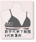 精品消费网