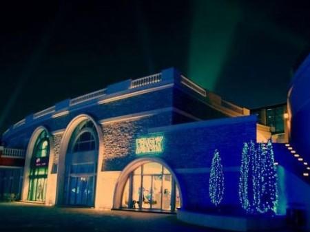 ��ɫ����