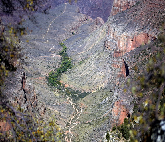 The Grand Canyon