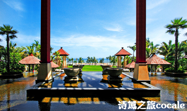 ����Ŀ�еĴ����ǵ���20����õ����ǾƵ����а棨�ϣ�