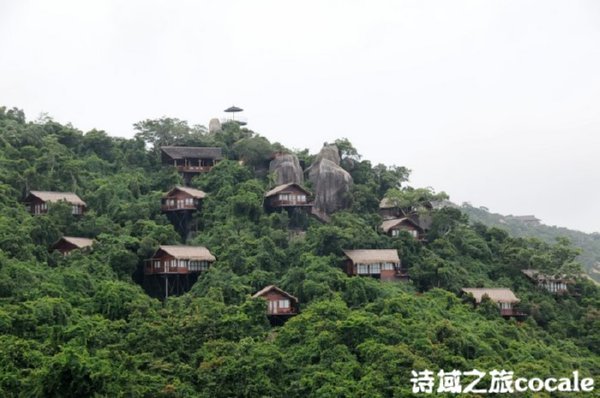 ����Ŀ�еĴ����ǵ���20����õ����ǾƵ����а棨�£�