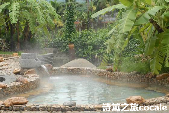 ����Ŀ�еĴ����ǵ���20����õ����ǾƵ����а棨�ϣ�