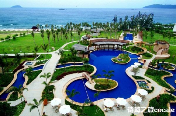 ����Ŀ�еĴ����ǵ���20����õ����ǾƵ����а棨�ϣ�