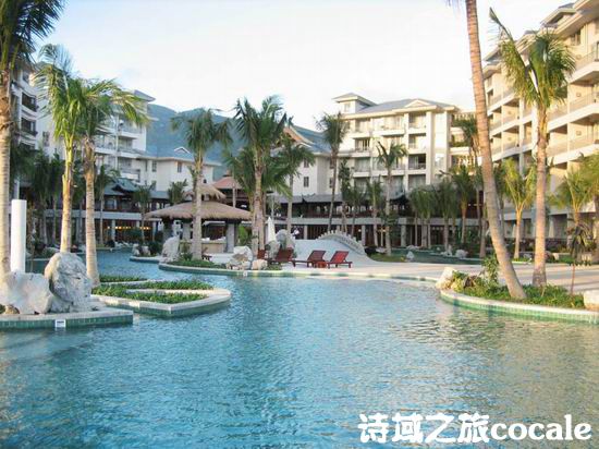 ����Ŀ�еĴ����ǵ���20����õ����ǾƵ����а棨�ϣ�