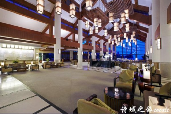 ����Ŀ�еĴ����ǵ���20����õ����ǾƵ����а棨�£�