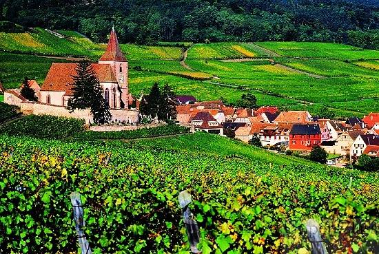 �й�ʮ�����Ѿƻƽ����